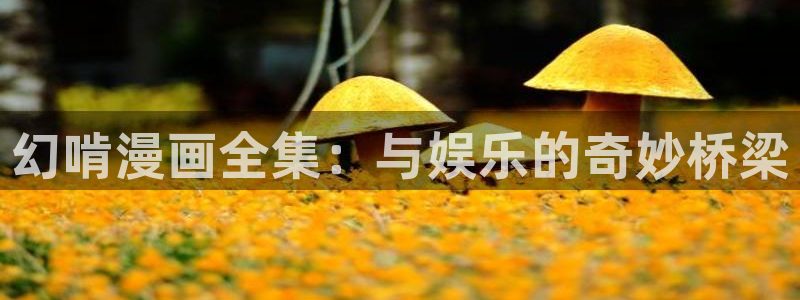 喵趣漫画app下载官方：幻啃漫画全集：与娱乐的奇妙桥梁