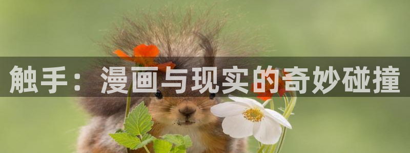 喵趣漫画下载官网