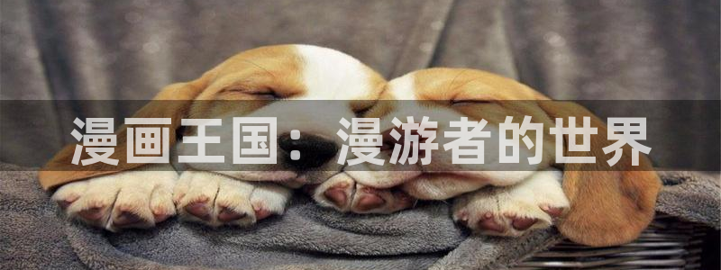 喵趣漫画网站入口：漫画王国：漫游者的世界