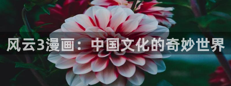 www 喵趣.com