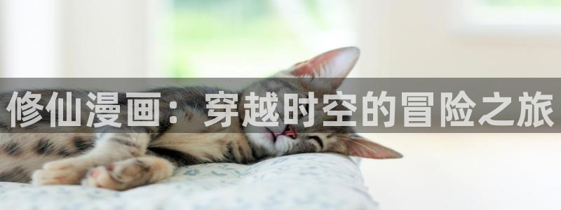 喵趣漫画app最新版