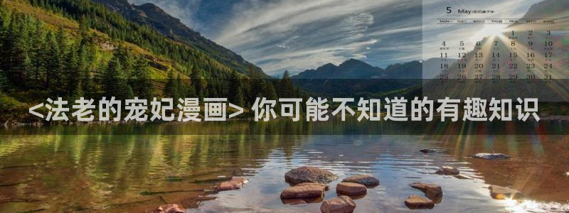 喵趣小说