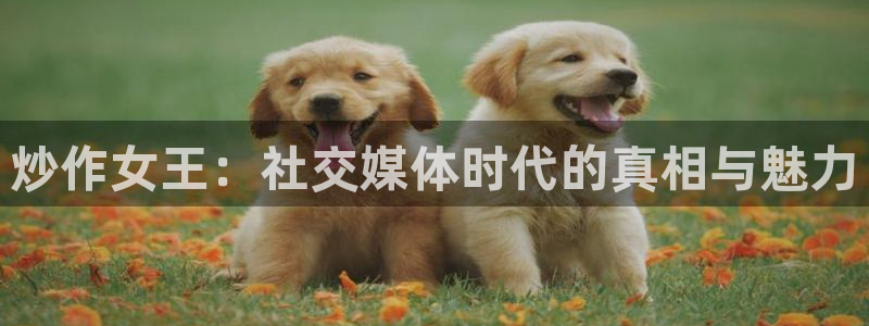 喵趣漫画免费吗