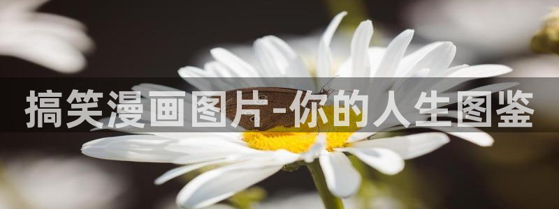 喵趣漫画ios下载入口