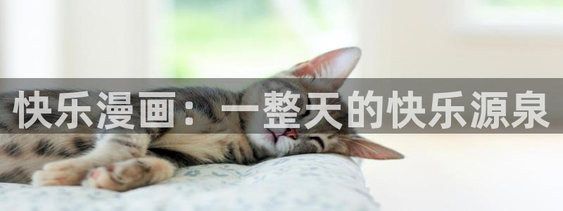 喵趣,漫画