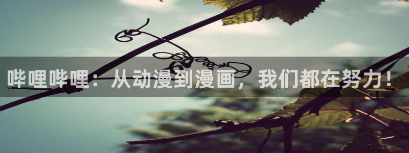 喵趣动漫app官方下载