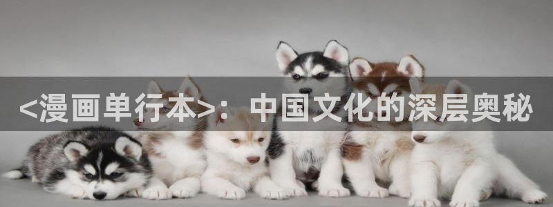 喵趣漫画最新版本2026年：<漫画单行本>：中国文化的深层奥秘