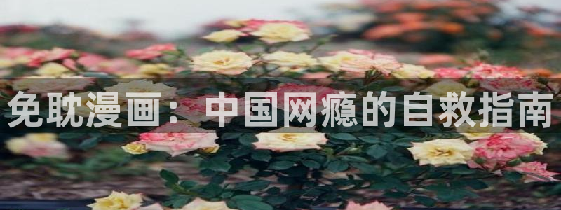 喵趣ios
