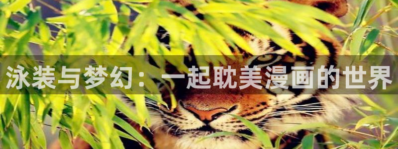 喵趣漫画网址