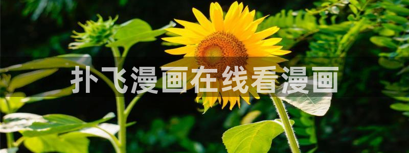 喵趣漫画官网网址：扑飞漫画在线看漫画