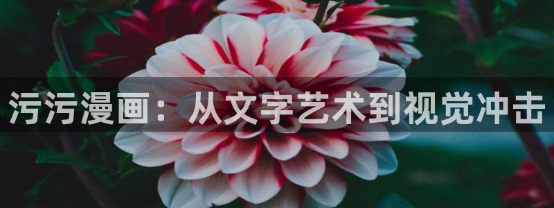 喵趣.：污污漫画：从文字艺术到视觉冲击