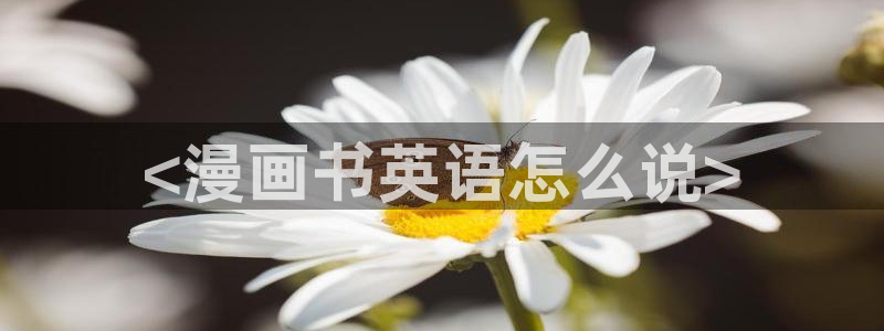 喵趣漫画正版