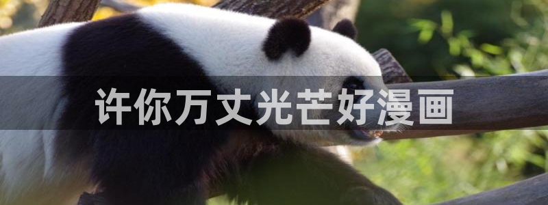 喵趣漫画的官方网站