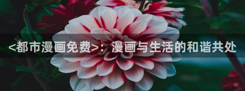 喵趣漫画(2026复活版)