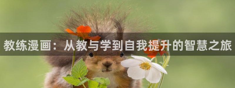喵趣漫画用不了