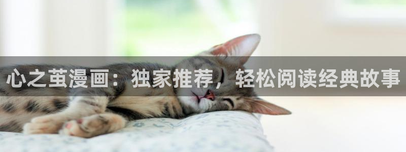 喵趣漫画网页版