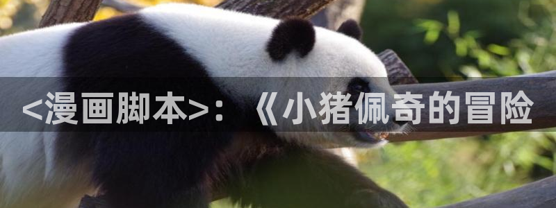 喵趣漫画app最新官方版