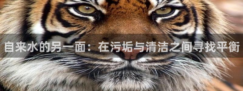 www,喵趣.com
